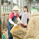 해성목장 이미지