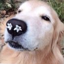 호텔 라온 이미지