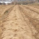 농업회사 토지인 이미지