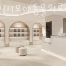 홍제동물병원 이미지