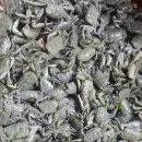 서산동부전통시장(동부시장) 이미지