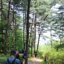 우면산6-12 이미지