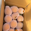 해찬농장 이미지