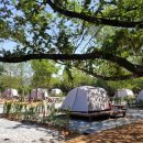 함평나비마을서울캠핑장 이미지