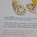 도림사[남] 네이버블로그