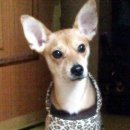 양강중학교 이미지