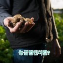 행정사법인부산 Daum카페