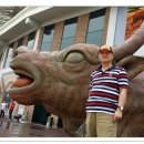 청도소싸움경기장 이미지