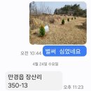 4월19일 아버님 산소 벌초하고 렉스톤스포츠 첫사고ㆍ4월26일 어머님 모시고 ㆍ만경읍 장산리 350_13가족평장묘 조성예정 이미지