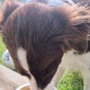 철이네 촌캉스 이미지