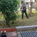 안청초등학교 이미지