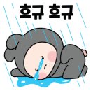 제주우리동물병원 이미지