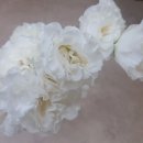 구하라공인중개사사무소 이미지