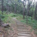 백산아파트 앞 이미지