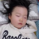 자작나무어린이집 이미지
