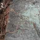 검성로-6 이미지