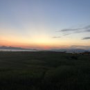 스타벅스 다대포비치점 이미지