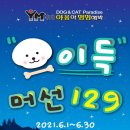 야옹아멍멍해봐(원성점) 네이버블로그
