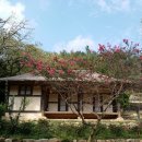 백운동 정원 이미지