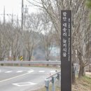 함안 대송리 늪지식물 이미지