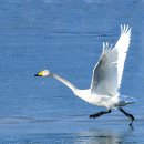 경안천 4 이미지