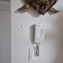 우정비디오 이미지