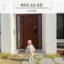 느릿느릿 김녕집 | 제주 여행, 아기랑 가기 좋은 제주도 독채 펜션 감성 숙소 !