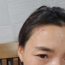 동전넣고 소리질러 이미지