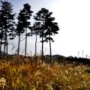 초록공원 농구장 이미지