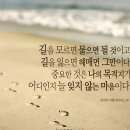 미소다이어트댄스 이미지