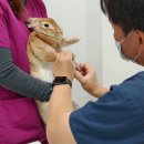 부천준동물병원 이미지