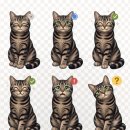 네임펫(Name Pet) | 맥 화면에 항상 떠있는 클로드 코드 펫 위젯 만들기 (Hammerspoon)