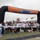 우리집 막둥이 이미지