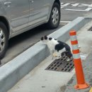 충무동 골목시장 이미지