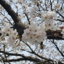 남원 광 한 루 이미지