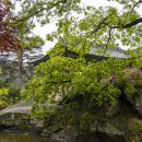 닭실마을 이미지