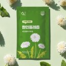 황금이네 쇼핑하우
