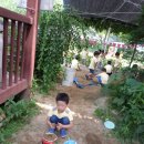 한결어린이집 여름 농촌체험 자연학습장 농장 이미지
