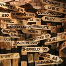 동산동물병원 이미지