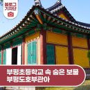 부평도호부관아 | 학교 운동장에 조선시대 관청이? 부평초등학교 속 숨은 보물 찾기 <부평도호부관아>