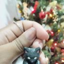 A new year with a tiny cat 이미지