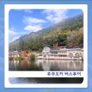 삼아교통(유) | 후쿠오카 가볼만한 곳 일일 버스투어 여행 후기