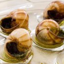 Escargots, cuisses de grenouilles et Cie le plein de protéines, autrement ! 이미지