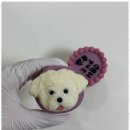 반려동물 케이크만들기 이미지