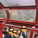 (주)씨푸드락 이미지