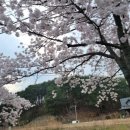 안인진길 이미지