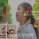 해담영농조합법인 이미지