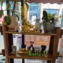 조박사소머리국밥 여수점 | 솥밥이 나오는 현지인 맛집 조박사소머리국밥 여수점