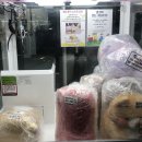 핫뽑기방 이미지