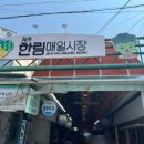 한림맛집 제주흑돼지 짬뽕국밥 맛있는 보람순대국밥